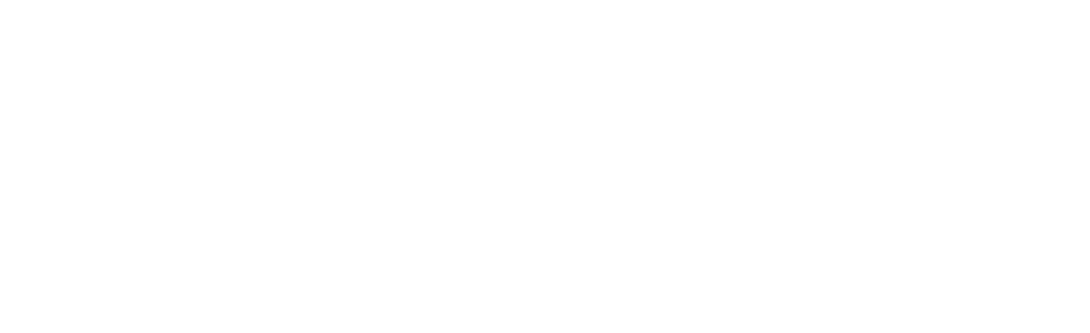Logo Mavin 1
