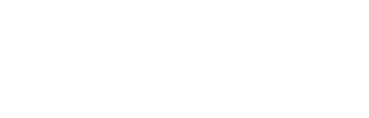 Logo Sanfer